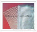 Galvanized Welded Wire Mesh 5