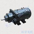 24V Electric Series EV DC Motor 5