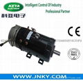 48V 5KW Electric Vechicle Brushed DC Motor 4