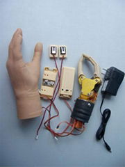 Two degree of freedom,switch control prostheses