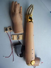 Three degree of freedom,switch control prostheses for upper arm