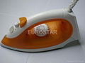 steam iron 1