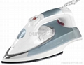Steam Spray Iron