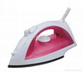 steam spray iron