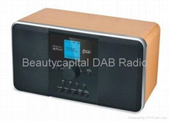 DAB Digital Radios with blue tooth