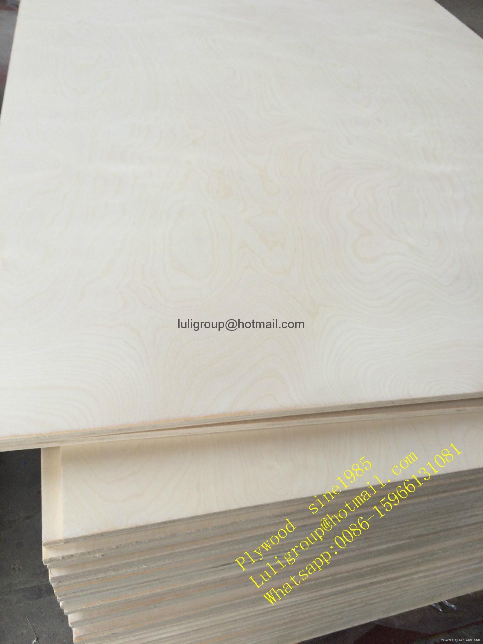 birch plywood 2