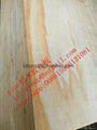 all pine plywood