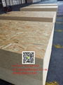 fire retardant osb3