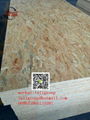 fire retardant osb3 4