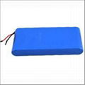 High Discharge Rate LiFePo4 Battery