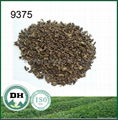 Chinese green tea 9375 export to Afghanistan markket 1