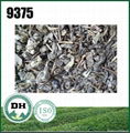 Chinese green tea 9375 export to Afghanistan markket 4