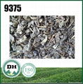 Chinese green tea 9375 export to Afghanistan markket