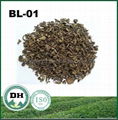 Chinese green tea BL-01 export to Tajikistan Uzbekistan market