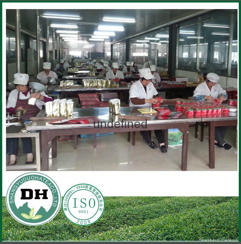 出口阿爾及利亞眉茶41022 5