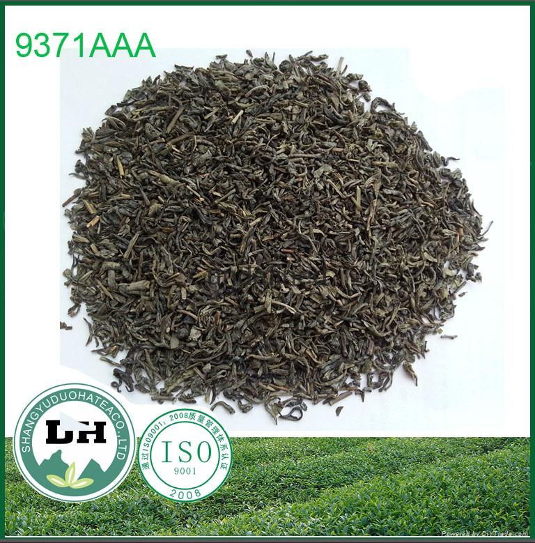 ORGANIC GREEN TEA 9371 4