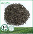 ORGANIC GREEN TEA 9371