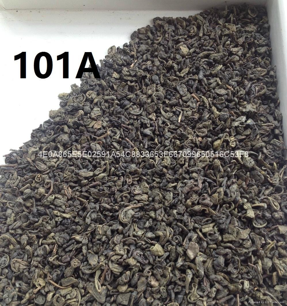 CHINESE GREEN TEA FACTORY PRICE 5