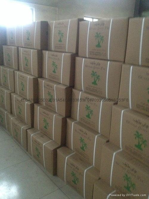 China gunpowder tea 9375A export to afghanistan market 4