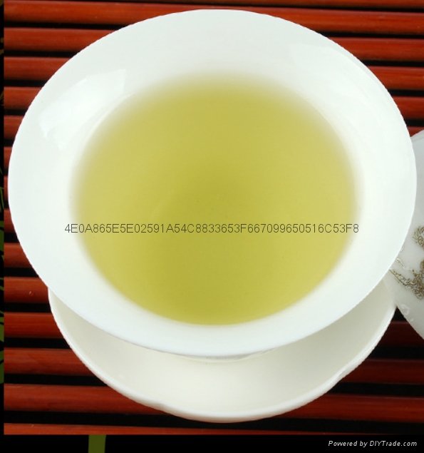 sencha green tea 5