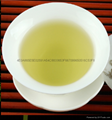 sencha green tea 5