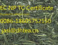 sencha green tea 1