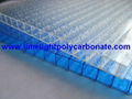 Twinwall polycarbonate sheet frosted pc hollow sheet multiwall polycarbonate 5