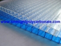 Twinwall polycarbonate sheet frosted pc hollow sheet multiwall polycarbonate