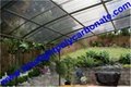 Corrugated polycarbonate sheet, polycarbonate sheet, pc sheet, roof tile 5