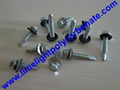 Self drilling metal screw with EPDM gasket for polycarbonate sheet & PVC sheets  3