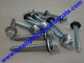 Self drilling wood screw with EPDM gasket for polycarbonate sheets & PVC sheets  2