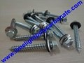 Self drilling wood screw with EPDM gasket for polycarbonate sheets & PVC sheets 