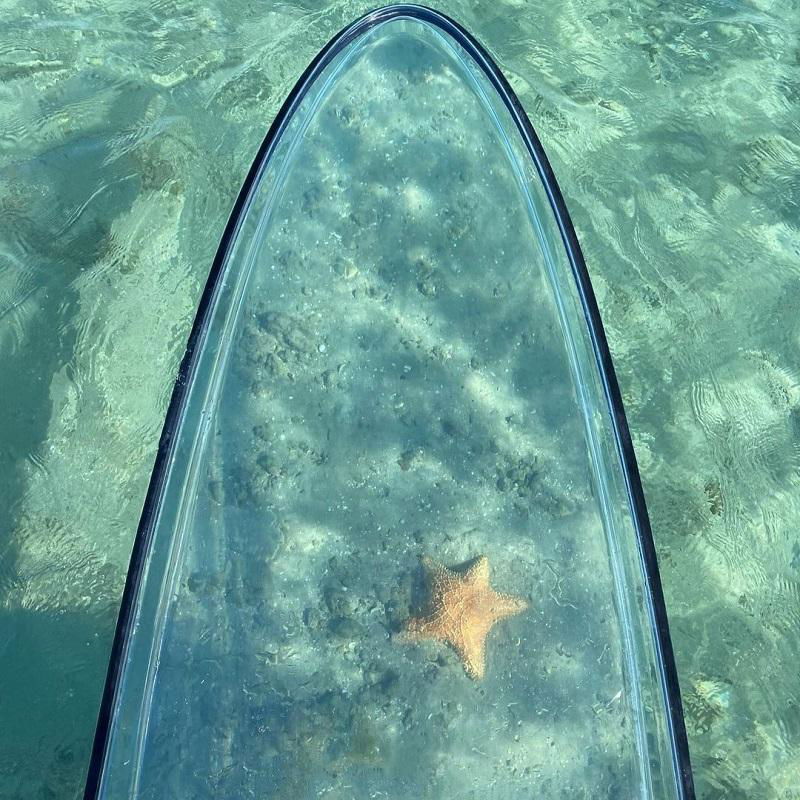 clear paddle board, clear SUP, clear SUP paddle board, clear SUP board, clear board, clear stand-up board, clear stand up paddle board, see through paddle board, transparent paddle board, transparent SUP board, transparent SUP paddle board, transparent stand-up board, transparent stand up paddle board