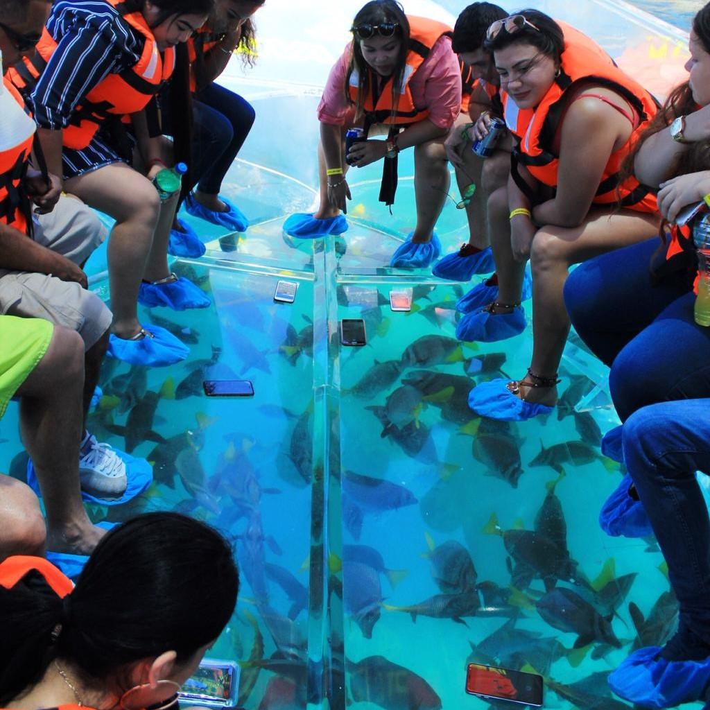 Clear Boat, Transparent Boat, Crystal Boat, Glass Boat, Clear Bottom Boat, Transparent Bottom Boat, Crystal Clear Boat, Transparent Clear Boat, See Through Boat, Full Transparent Boat, Snorkeling Boat, Tour Boat
