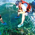 Clear Boat, Transparent Boat, Crystal Boat, Glass Boat, Clear Bottom Boat