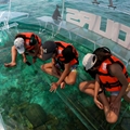 Unbreakable polycarbonate glass clear boat transparent boat crystal boat
