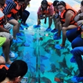 glass bottom boat, clear boat, transparent boat, glass boat, crystal boat, polycarbonate boat, clear bottom boat, see through boat, see thru boat, transparent clear boat, crystal clear boat, glass clear boat, unbreakable glass boat