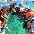 glass bottom boat, clear boat, transparent boat, glass boat, crystal boat, polycarbonate boat, clear bottom boat, see through boat, see thru boat, transparent clear boat, crystal clear boat, glass clear boat, unbreakable glass boat