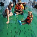 Glass Clear Boat Crystal Clear Boat Transparent Boat See Through Boat Crystal