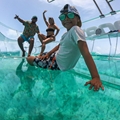 polycarbonate boat, clear boat, transparent boat, glass boat, crystal boat, clear bottom boat, glass bottom boat, see through boat, see thru boat, transparent clear boat, crystal clear boat, glass clear boat, unbreakable glass boat