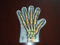 LDPE Printing  Gloves