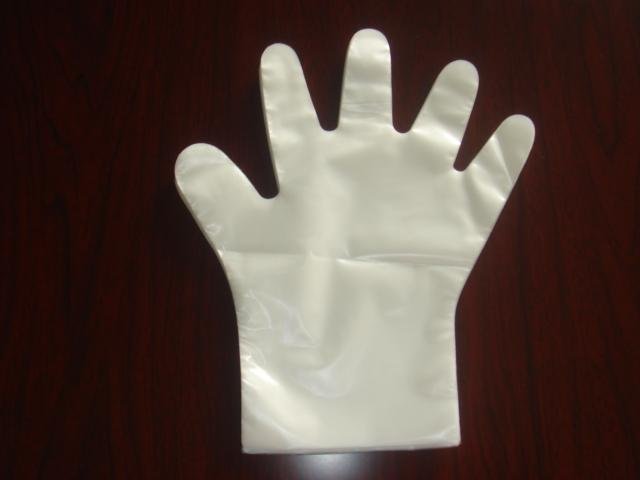 CPE   Gloves
