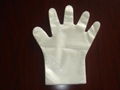 CPE   Gloves 1