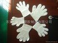LDPE  Gloves 1