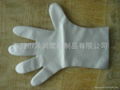 TPE  Gloves 2