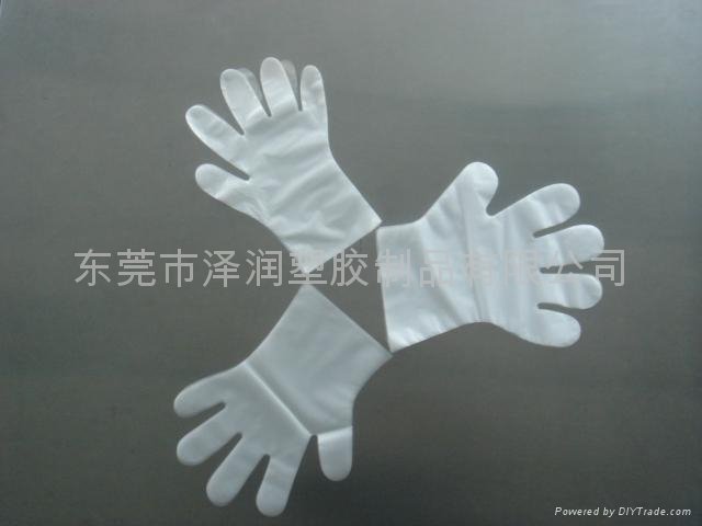 CPE   Gloves 2