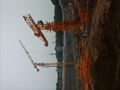 Flat top tower cranes,6515-8T