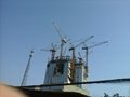 Luffing jib tower cranes