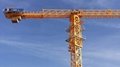 Flat top tower cranes，6515-10T 3