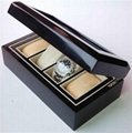 multi-watch boxes with window display
